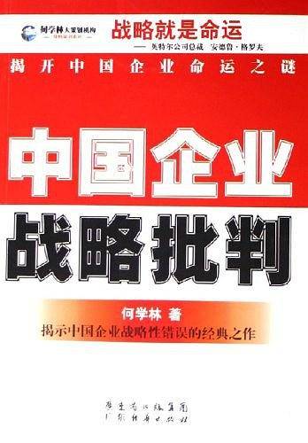 中国企业战略批判
