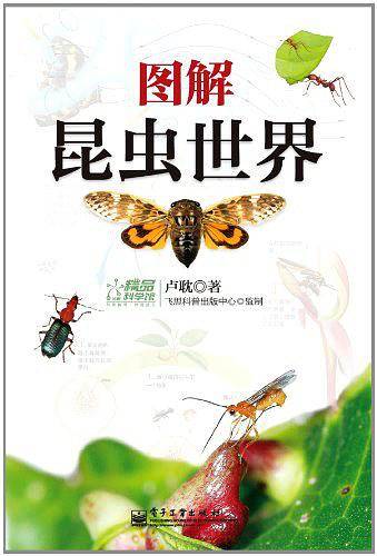 图解昆虫世界