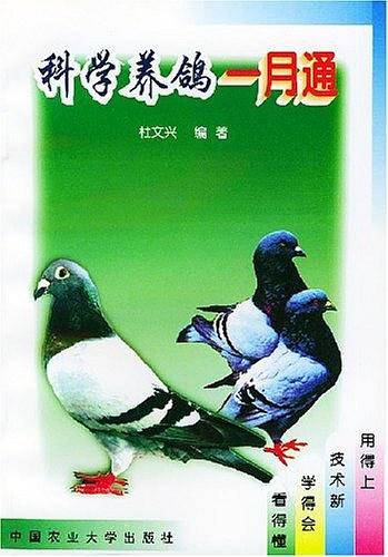 科学养鸽一月通