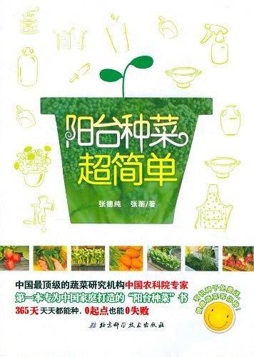 阳台种菜超简单