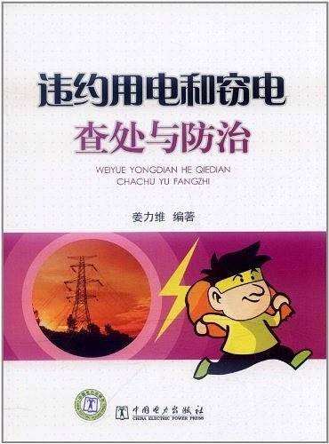 供电企业常见法律风险防范与处理丛书 违约用电和窃电查处与防治