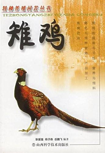 雉鸡