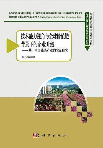 技术能力视角与全球价值链背景下的企业升级