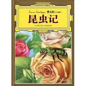 昆虫记