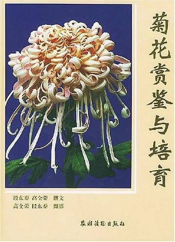 菊花赏鉴与培育