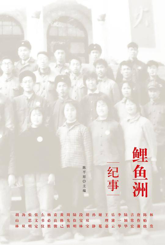 鲤鱼洲纪事