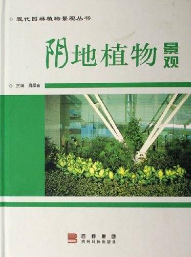 阴地植物景观
