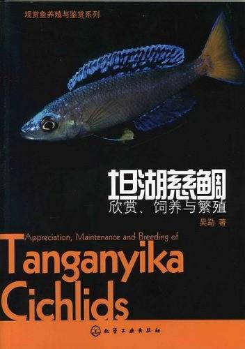 观赏鱼养殖与鉴赏系列--坦湖慈鲷：欣赏、饲养与繁殖
