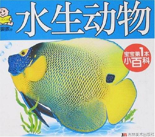 宝宝第1本小百科