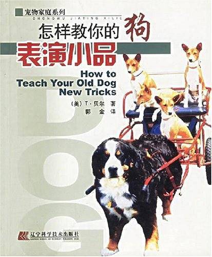 怎样教你的狗表演小品
