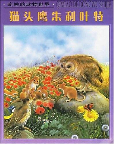 猫头鹰朱利叶特