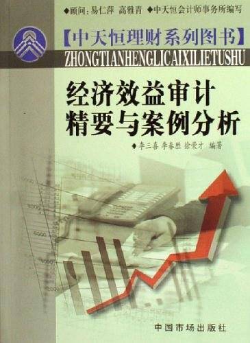 经济效益审计精要与案例分析