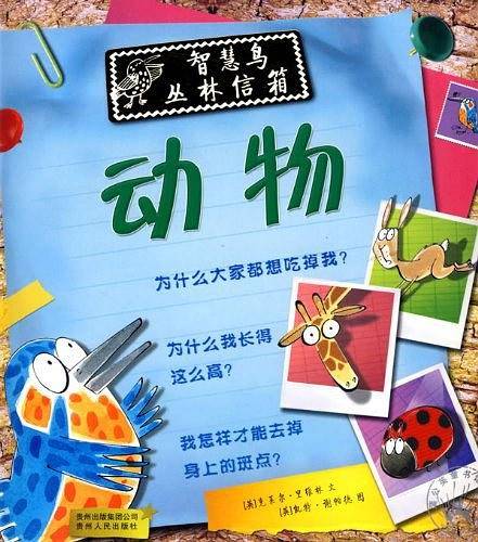 动物