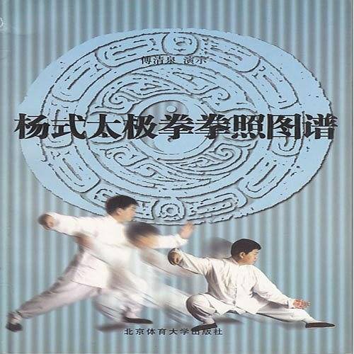 杨式太极拳拳照图谱