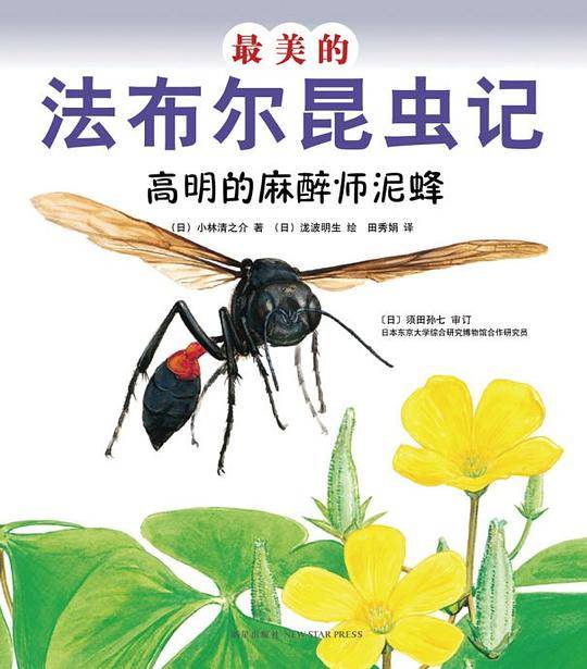 最美的法布尔昆虫记：高明的麻醉师泥蜂