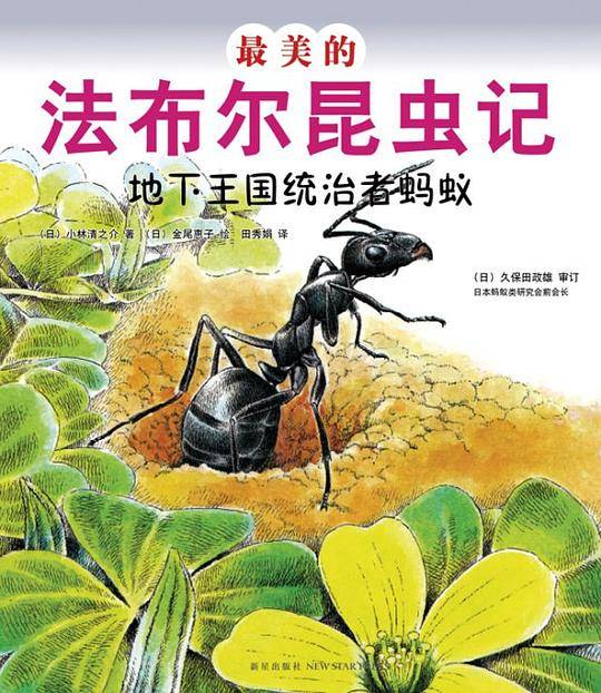 最美的法布尔昆虫记：地下王国统治者蚂蚁