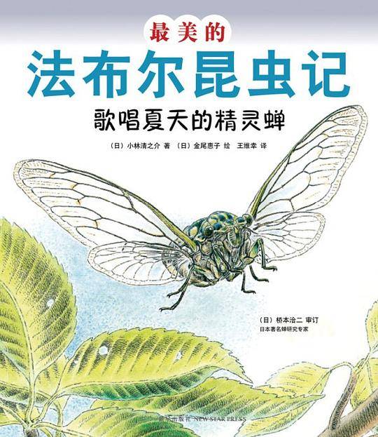最美的法布尔昆虫记：歌唱夏天的精灵蝉