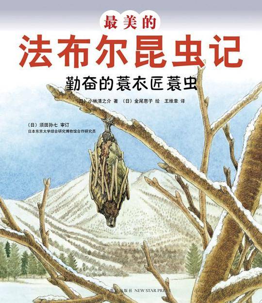 最美的法布尔昆虫记：勤奋的蓑衣匠蓑虫