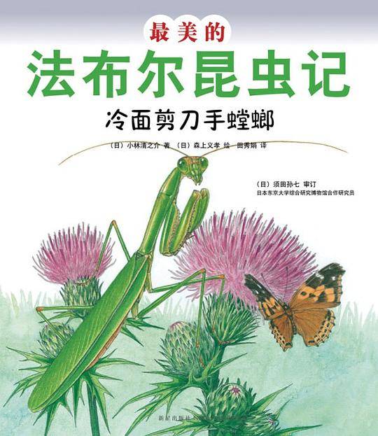 最美的法布尔昆虫记：冷面剪刀手螳螂