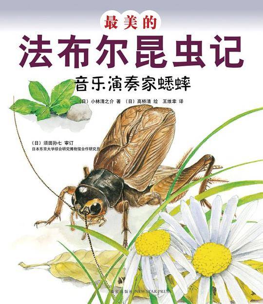 最美的法布尔昆虫记：音乐演奏家蟋蟀