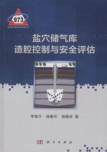 盐穴储气库造腔控制与安全评估