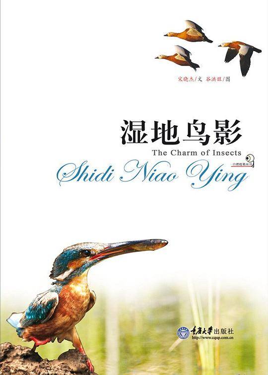 湿地鸟影