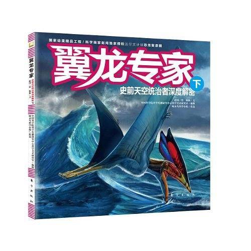 翼龙专家（下）