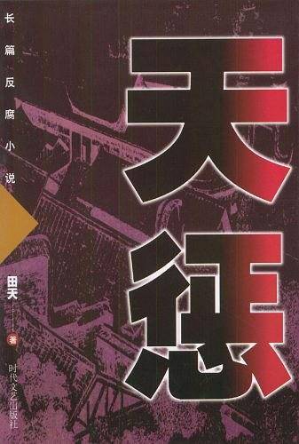 长篇反腐小说：天惩