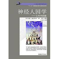 神经人因学：工作中的脑