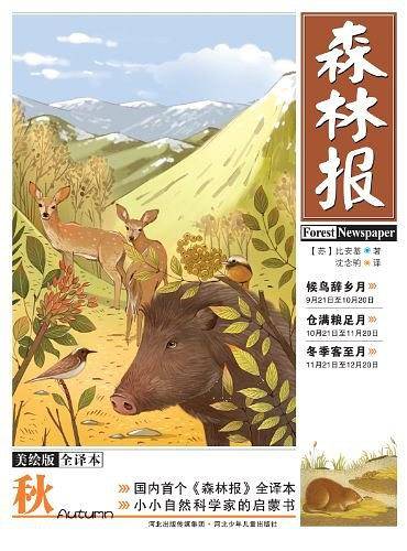 秋-森林报-美绘本-全译本