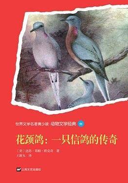 花颈鸽：一只信鸽的传奇