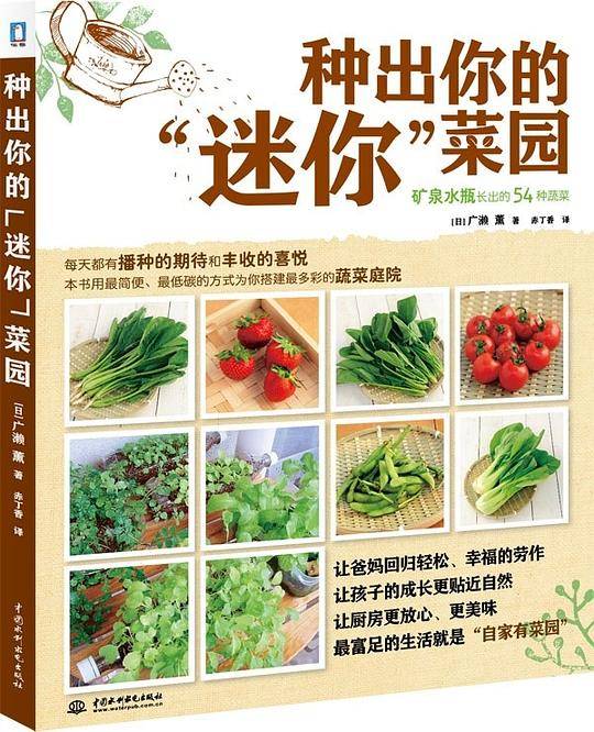 种出你的“迷你”菜园