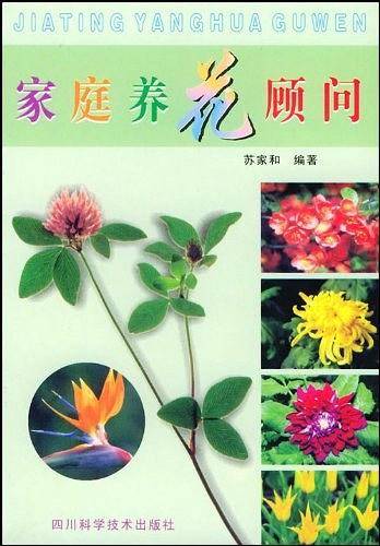家庭养花顾问