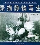 素描静物写生/美术基础技法训练系列丛书