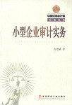小型企业审计实务