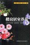 楼房居室养花
