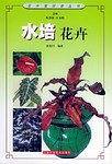 水培花卉