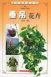 垂吊花卉
