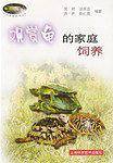 观赏龟的家庭饲养