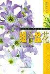 组合盆花