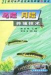 乌鳢  月鳢养殖技术