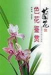 兰花色花鉴赏
