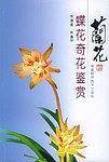 兰花蝶花奇花鉴赏