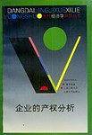 企业的产权分析