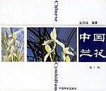 中国兰花