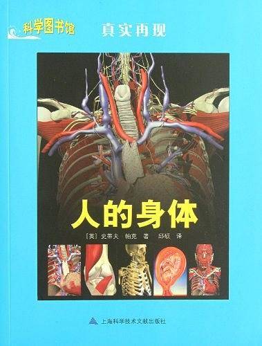 人的身体