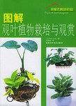 图解观叶植物栽培与观赏